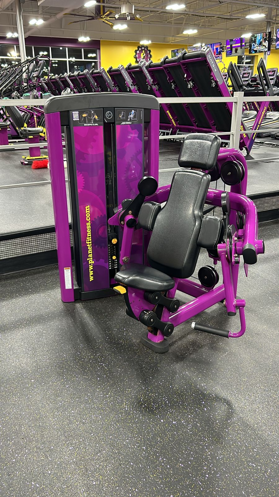 Life Fitness Insignia Series – Premium Strength Equipment Package for Sale