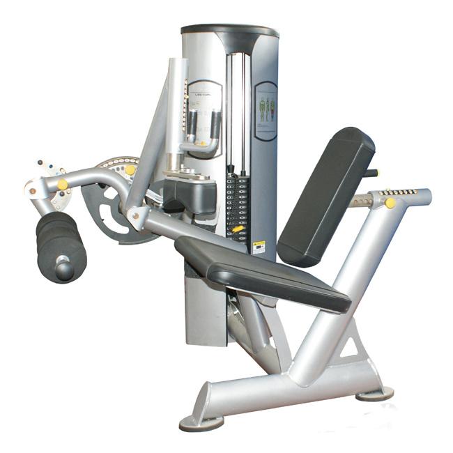 FreeMotion Epic Leg Curl