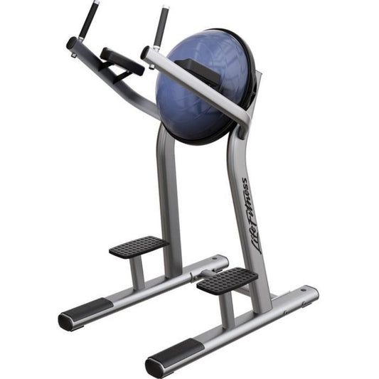 Life Fitness Leg Raise